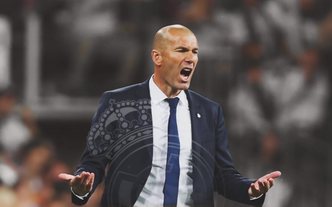 Zidan attack: a lion and 4 cats