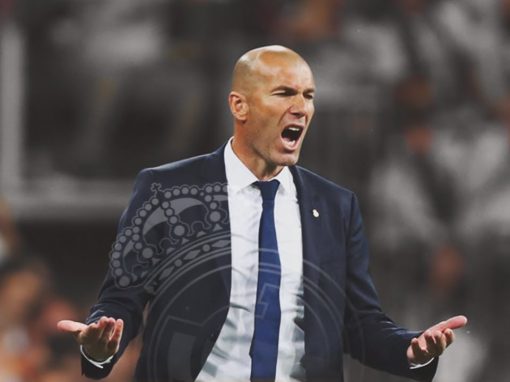 Zidan attack: a lion and 4 cats