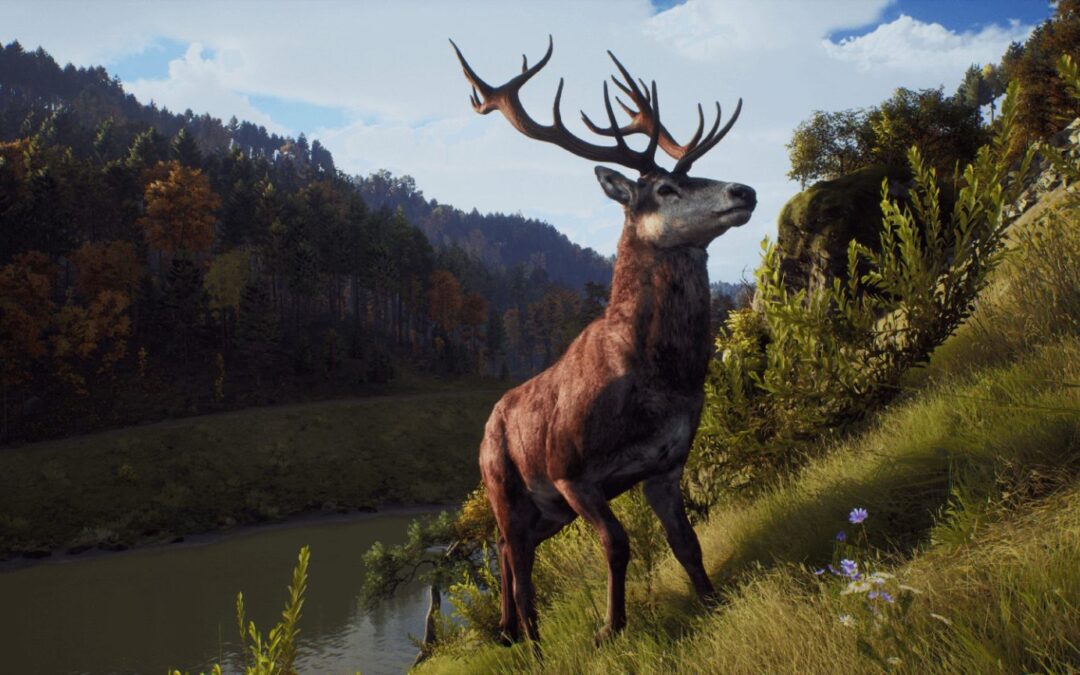 Way of The Hunter