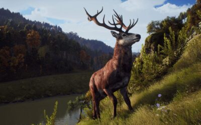 Way of The Hunter