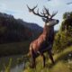 Way of The Hunter